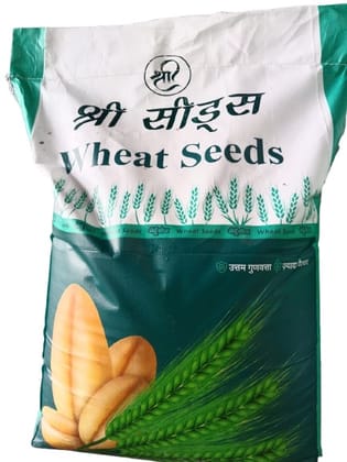 Shree Seeds Premium Wheat Seeds for Superior Quality & High Yield,  3 KG,  Varieties Dbw303, Hd2967, Dbw187, Dbw222, Dbw143 