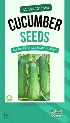 Premium Quality Cucumber Seed - 100gm