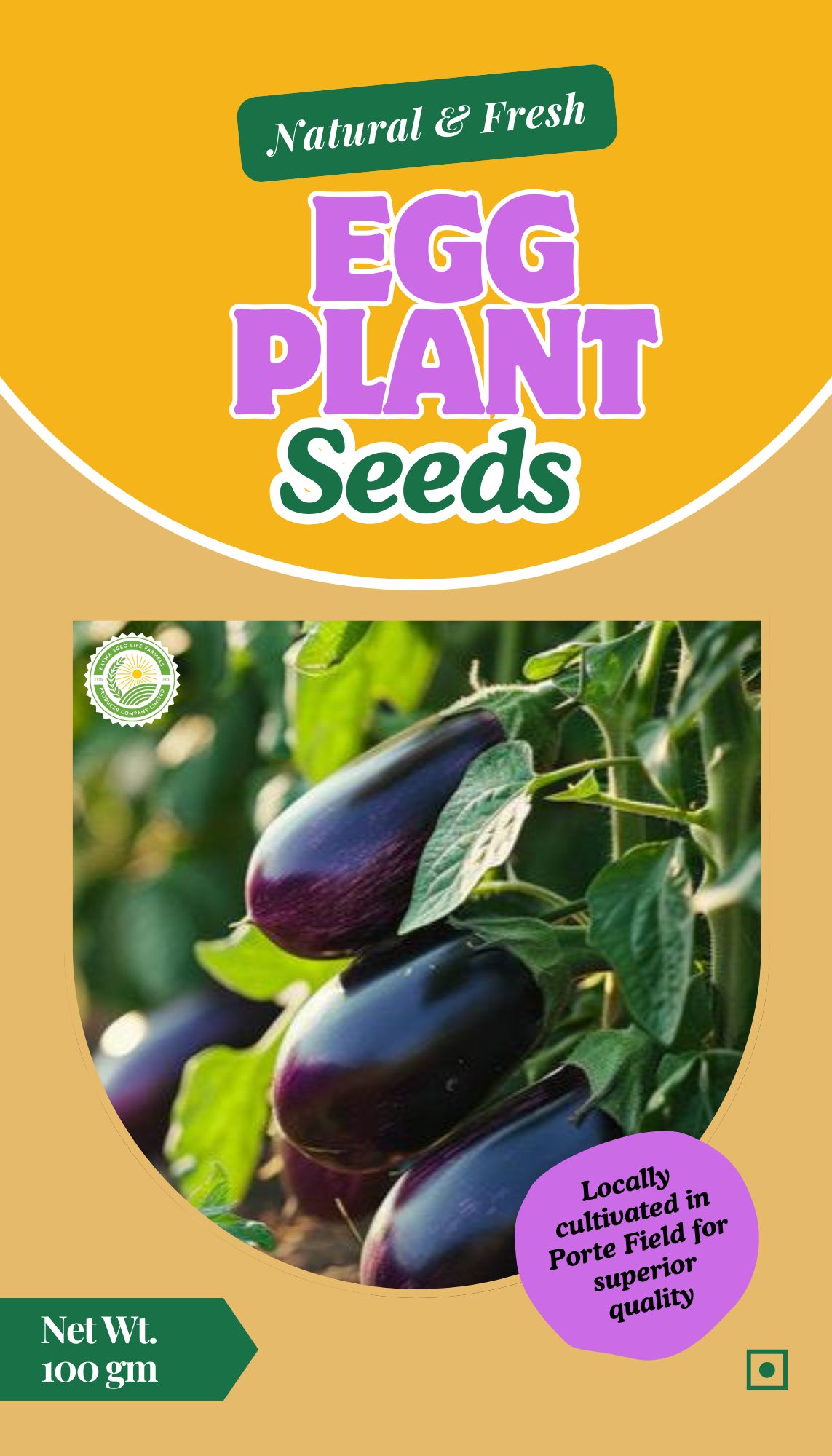 Premium Egg Plant Seeds- 100gm