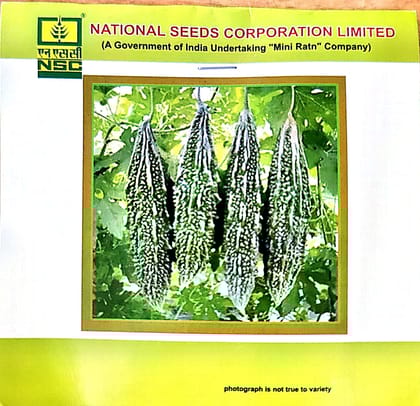 NSC_Bittergourd_Kashi Pratishtha_5 gm