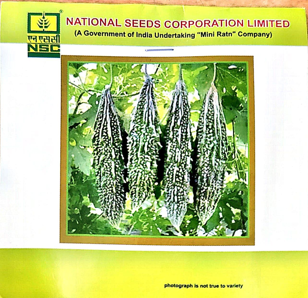 NSC_Bittergourd_Kashi Pratishtha_5 gm