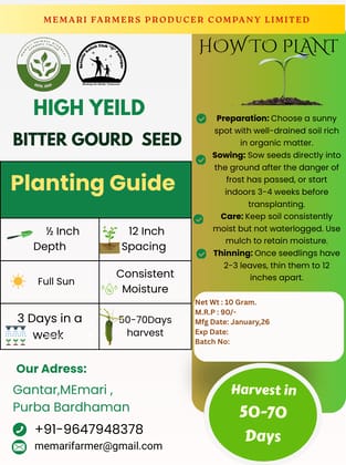 Premium Quality Bittergourd Seeds- 10gm