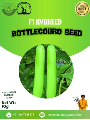Premium Quality Bottlegourd Seed- 10gm