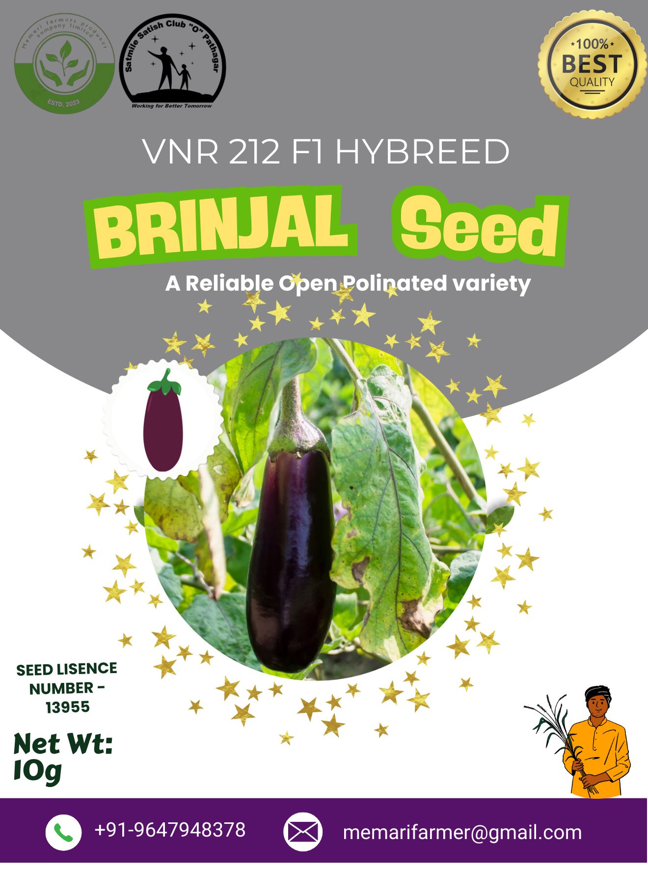 Premium Quality Egg Plant(Brinjal) Seeds- 10gm