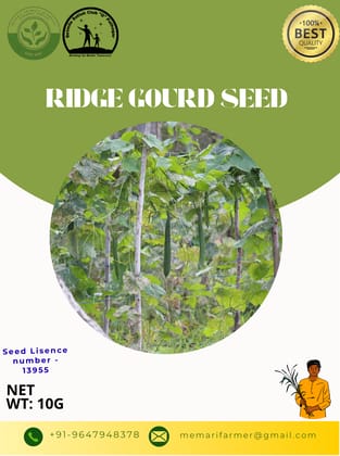 Premium Quality Ridge Gourd Seeds- 10gm