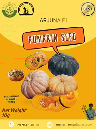 Premium Quality Pumpkin Seeds - 10gm