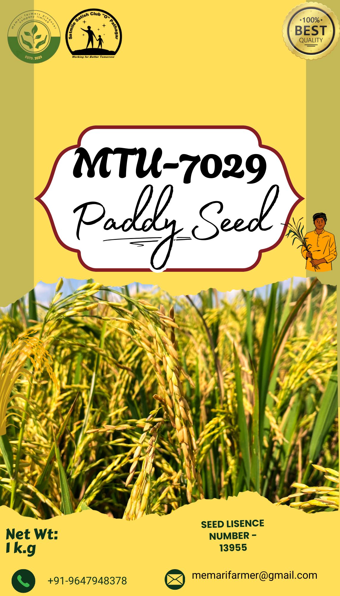 MTU-7029 Premium Paddy Seed - 1kg Pack, 100% Best Quality