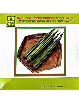 NSC Ridgegourd Seeds