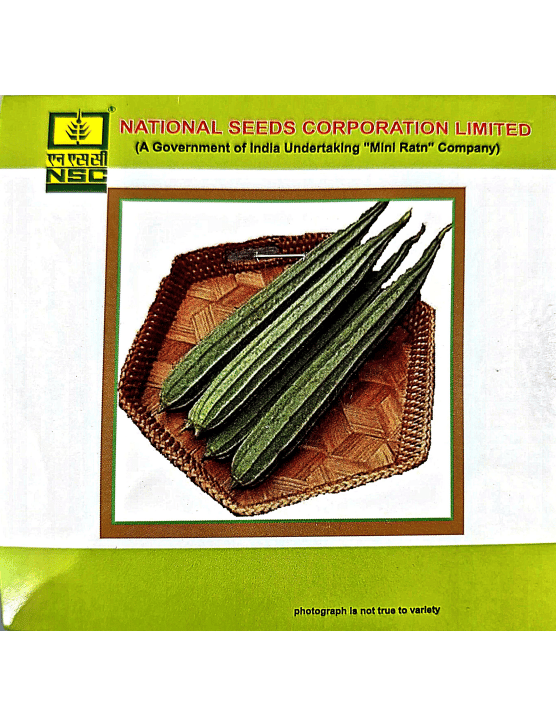 NSC Ridgegourd Seeds