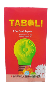 TABOLI