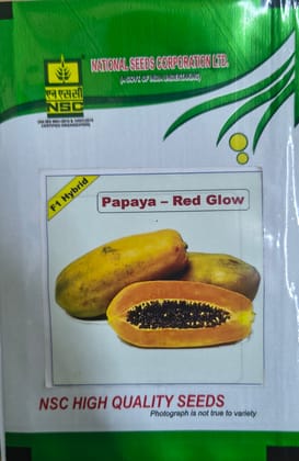NSC Hyb. Papaya Red Glow Seed, 10 seed per pack 