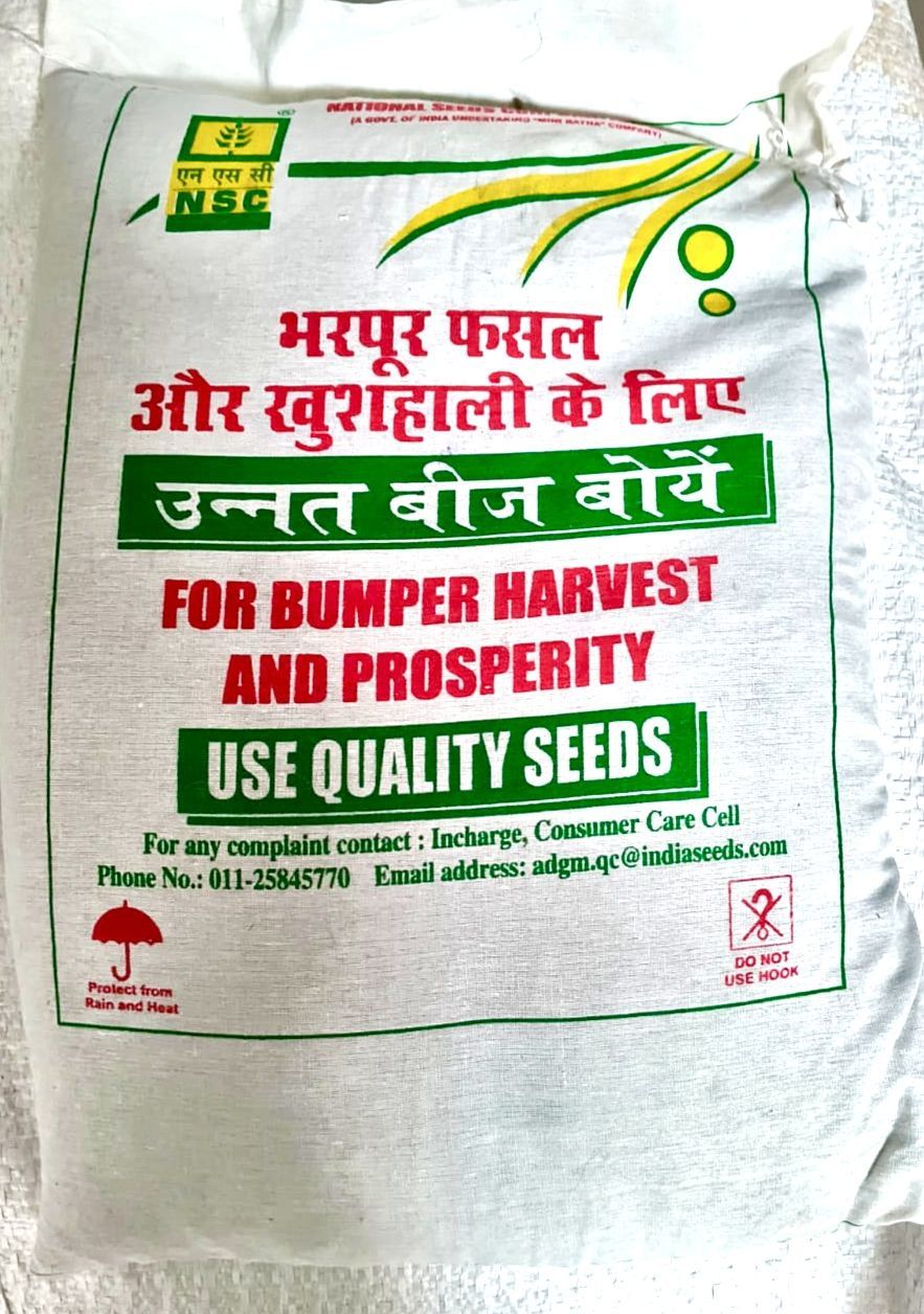 NSC Green Gram IPM205-7 (Virat)
