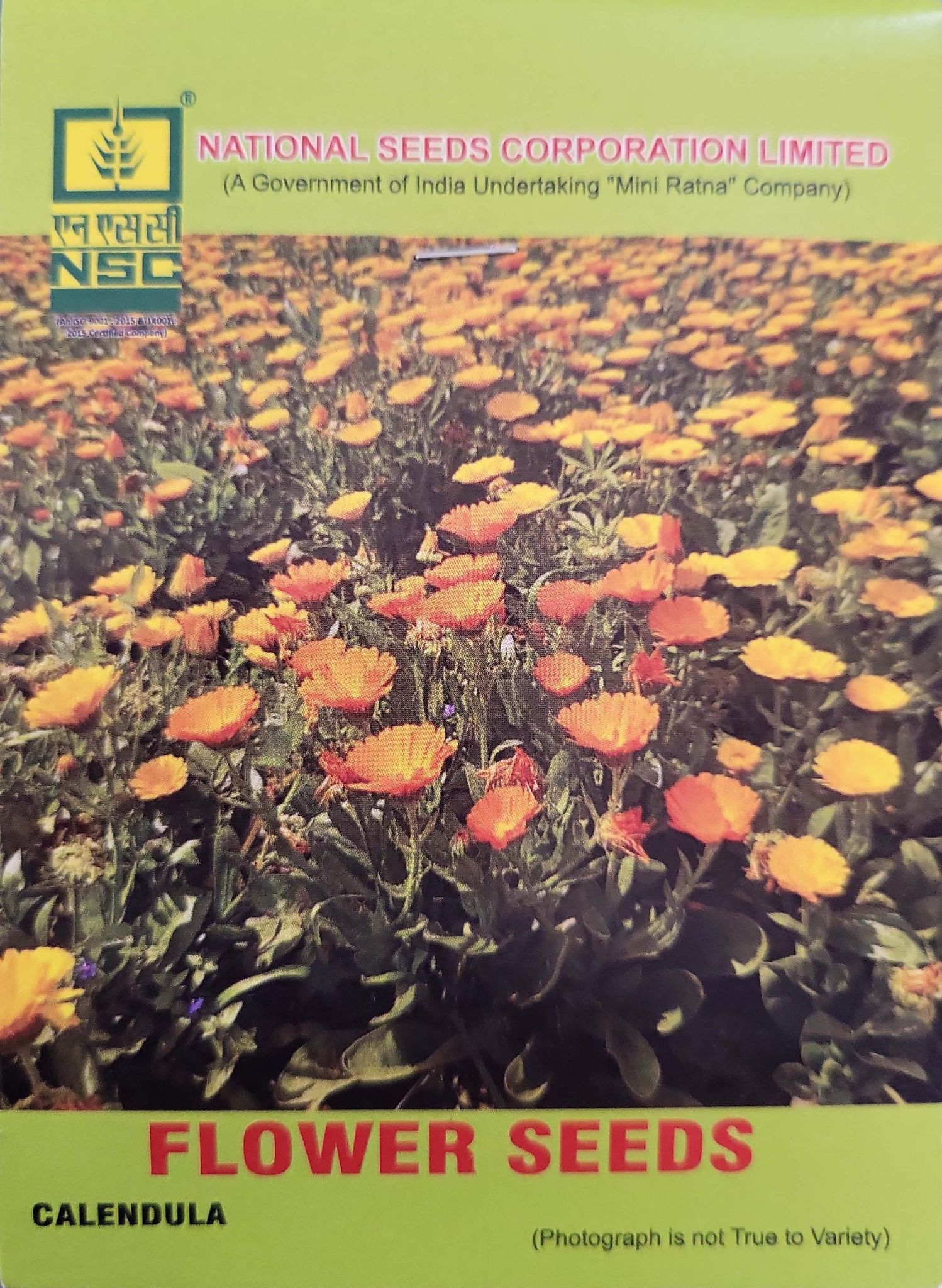 Calendula Flower Seeds Truthful lebelled (TL) Seed (5 gm )