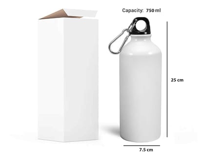 Cool Cat Printed Aluminum Water Bottle with Carabiner Clip - White