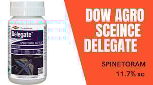 Delegate Pesticide