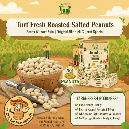 TURF FRESH - Premium Jumbo Peanuts | Light Roasted Salted Sing Dana | Bharuch Gujarat Special | Crunchy Healthy Snack TURF FRESH - Premium Jumbo Peanuts | Light Roasted Salted Sing Dana | Bharuch Gujarat Special | Crunchy Healthy Snack