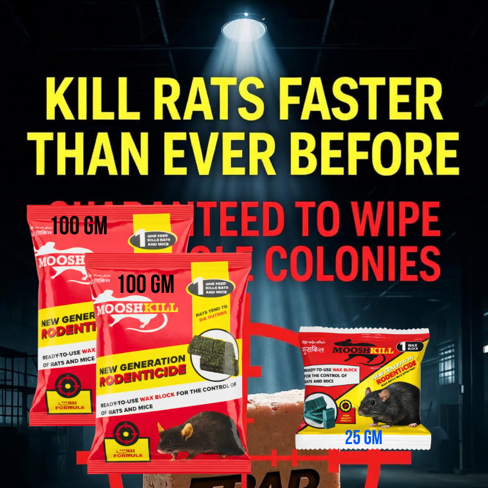 Powerful Rodent Control Cake | Kill in One Feed Formula | Effective for Home, Shop & Warehouse Use Fast-Acting Poison for Rats & Mice | 100GMx2+25GMx1 - Fresheners and Repellents | Buy online on ZillyBuy