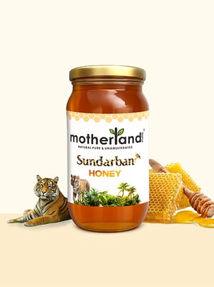 Pure & Raw Sundarban Honey | Motherland Pure
