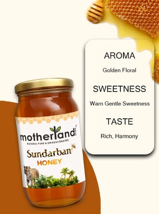 Pure & Raw Sundarban Honey | Motherland Pure