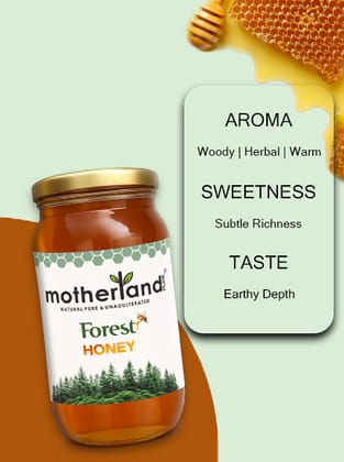 Pure & Raw Wild Forest Honey | Motherland Pure