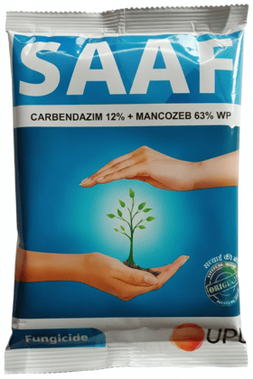 Saaf Carbendazim 12% + Mancozeb 63% WP Fungicide