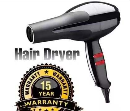 6130 Professional Hair Dryer