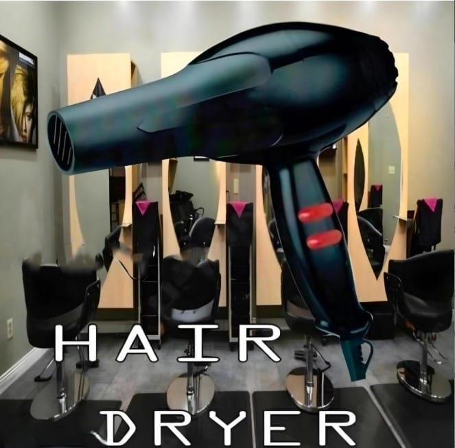 6130 Professional Hair Dryer