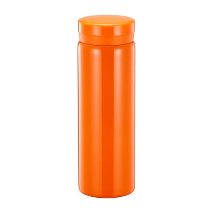  Mini Water Bottle Stainless Steel Thermos Small Flask - Insulated Vacuum, Leak Proof, Keeps Drinks Hot/Cold - Ideal for Coffee, Tea, Water 