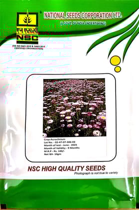 NSC_Acroclinium Flower Seeds_10gm