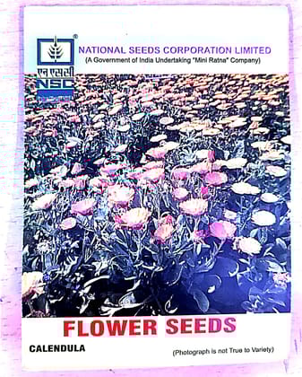 NSC_Calendula Flower Seeds_5gm