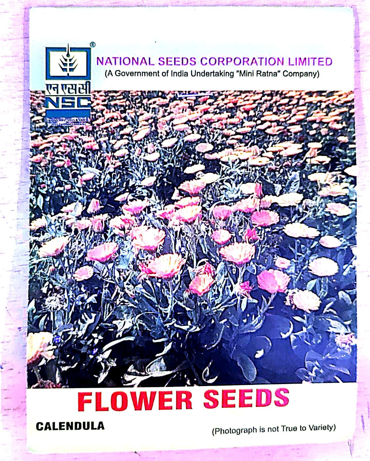 NSC_Calendula Flower Seeds_5gm