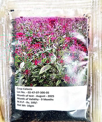 NSC_Celocia Flower Seeds_10gm