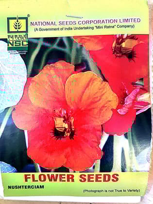 NSC_Nushterciam Flower Seeds_5gm