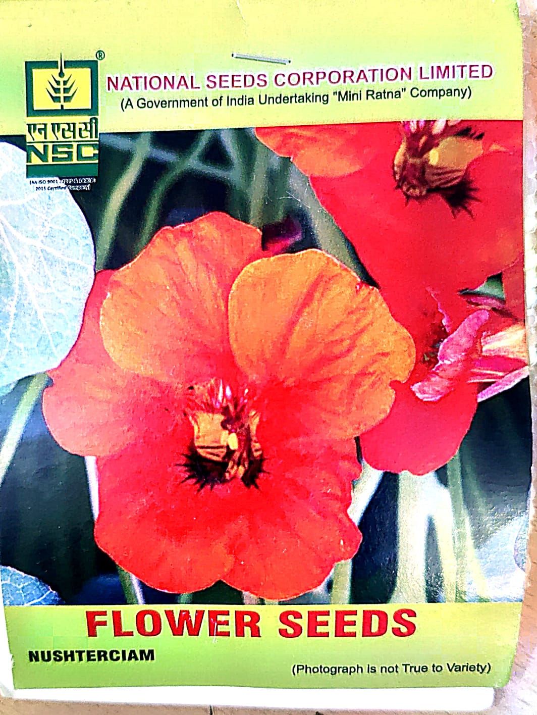 NSC_Nushterciam Flower Seeds_5gm