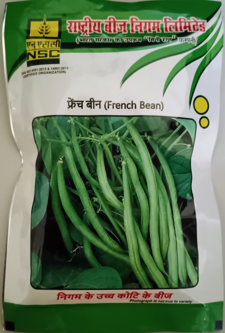 FRENCH BEAN (CONTENDER)