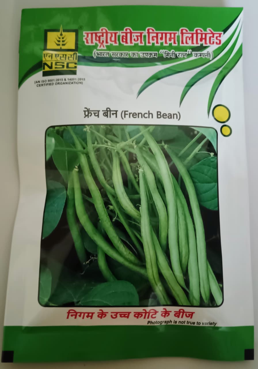 FRENCH BEAN (ARKA KOMAL)