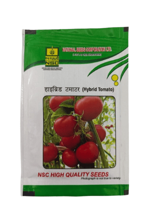 NSC HYBRID TOMATO-KASHI ABHIMAN 5 GMS 