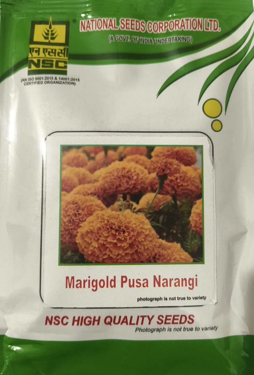 NSC Marigold Pusa Narangi 