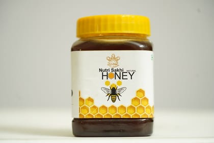 Nutri Sakhi Natural Honey - Pure & Natural Sweetener