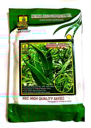 NSC BHINDI PUSA-5 High Quality Okra Seeds  100 gm T/L