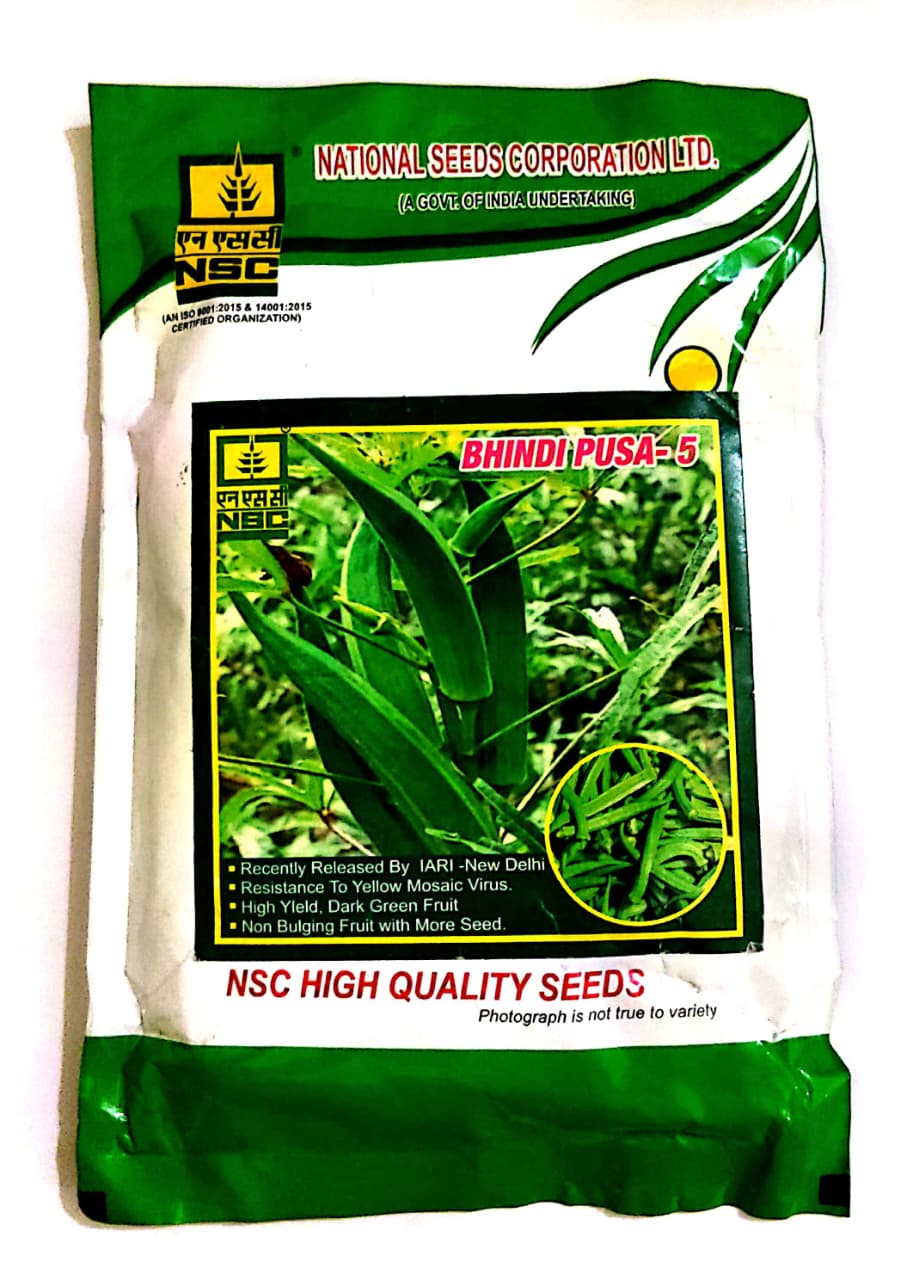NSC BHINDI PUSA-5 High Quality Okra Seeds  100 gm T/L