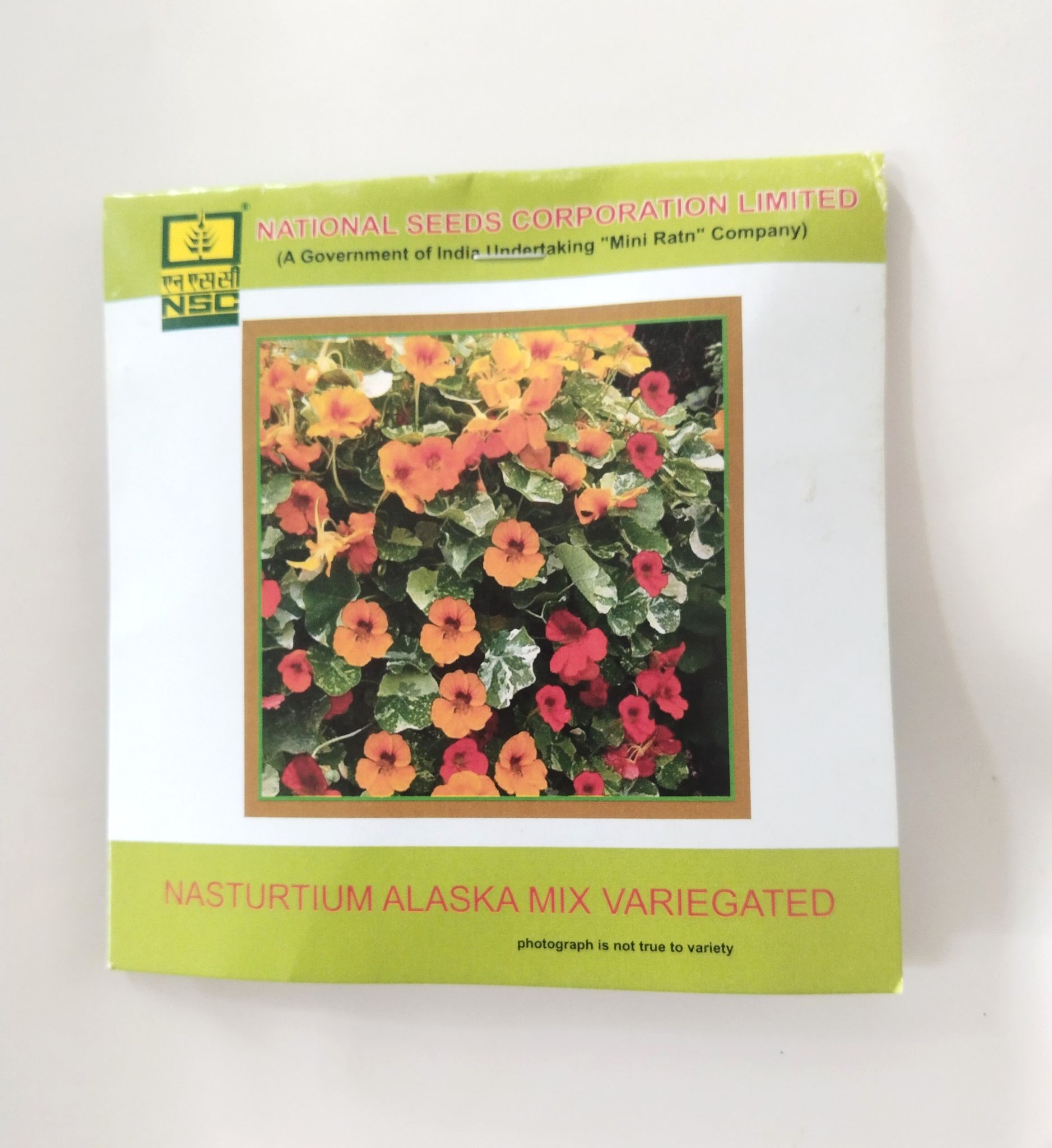 NSC Nushtertium Alaska Mix Variegated Flower Seed, 5 gram T/L 