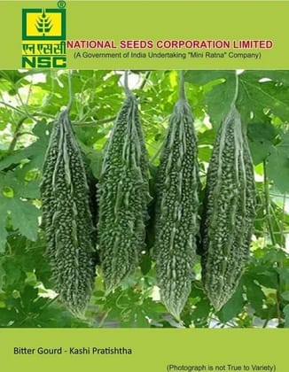 NSC Bitter Gourd Kashi Pratistha Seed