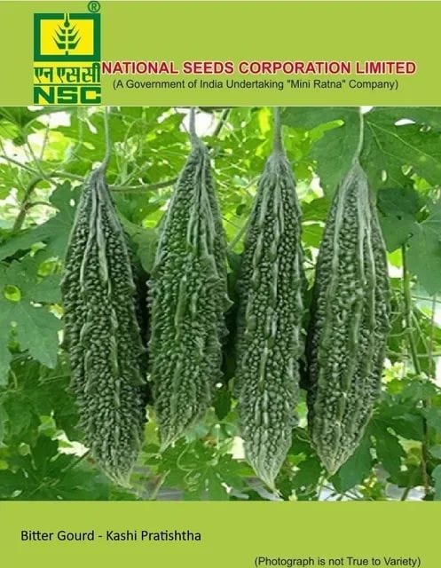 NSC Bitter Gourd Kashi Pratistha Seed