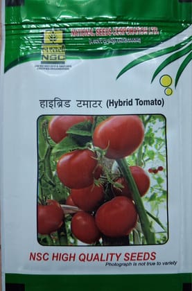 NSC HYBRID TOMATO KASHI ABHIMAN NSC HYBRID TOMATO KASHI ABHIMAN