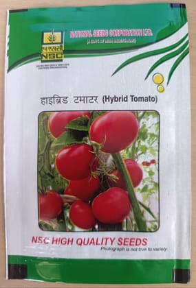HYBRID TOMATO-KASHI ABHIMAN