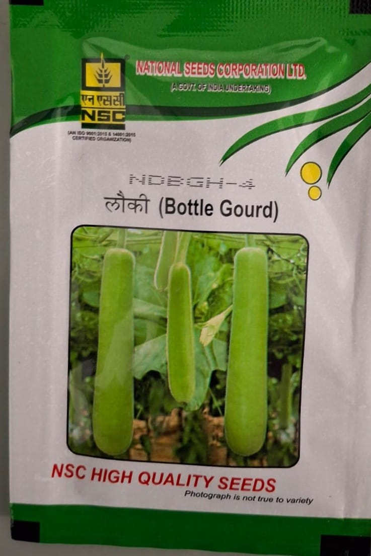 NSC High Quality Bottle Gourd Seeds NDEGH-4
