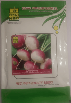 NSC Turnip High Quality Seeds,Variety-PTWG