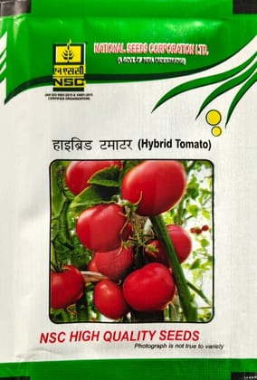 NSC Kashi Abhiman Tomato seed