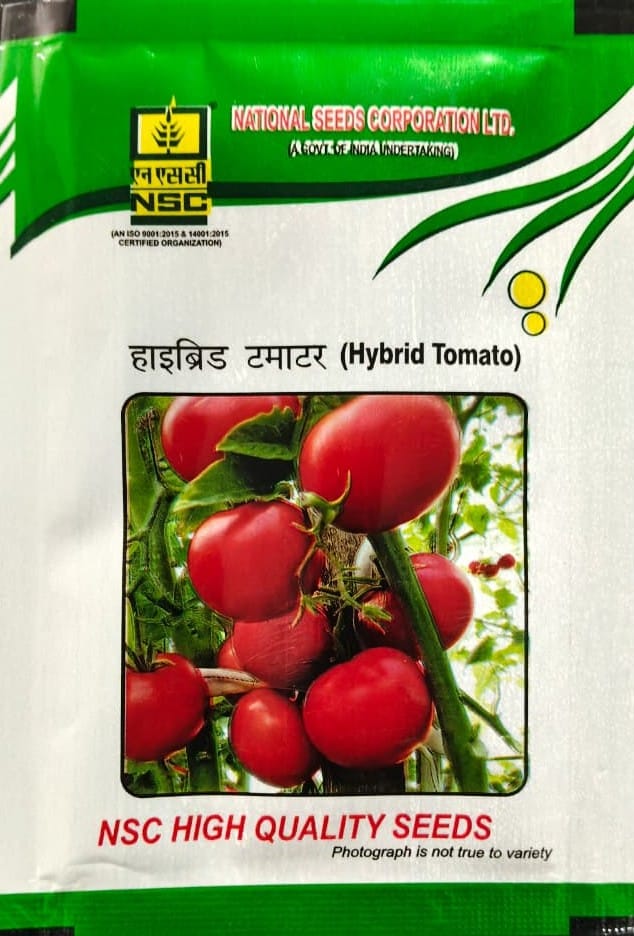 NSC Kashi Abhiman Tomato seed